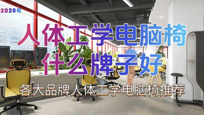 人体工学电脑椅什么牌子好？2026年各大品牌人体工学电脑椅推